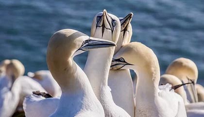 华体会权威下载-开云体育app：用数据与热爱点亮你的体育世界